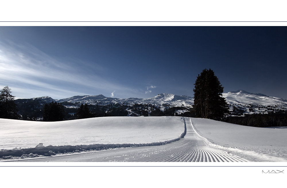 - LenzerheidE -