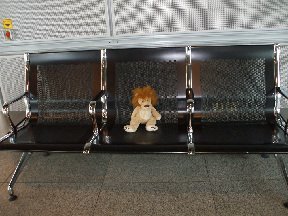 Leo am Flughafen