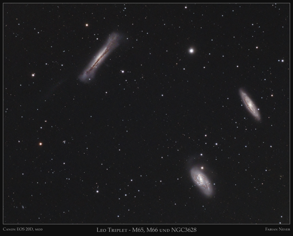 Leo Triplet