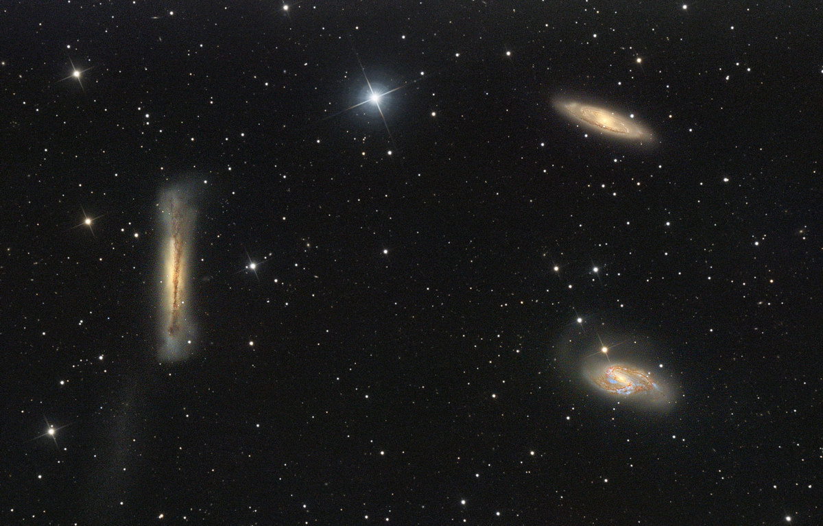 Leo Triplet 