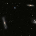 Leo Triplett