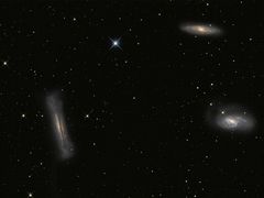 Leo Triplett