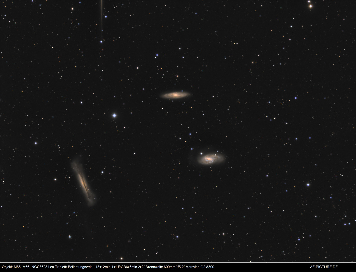 Leo Triplett