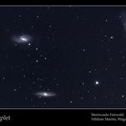 Leo Triplett