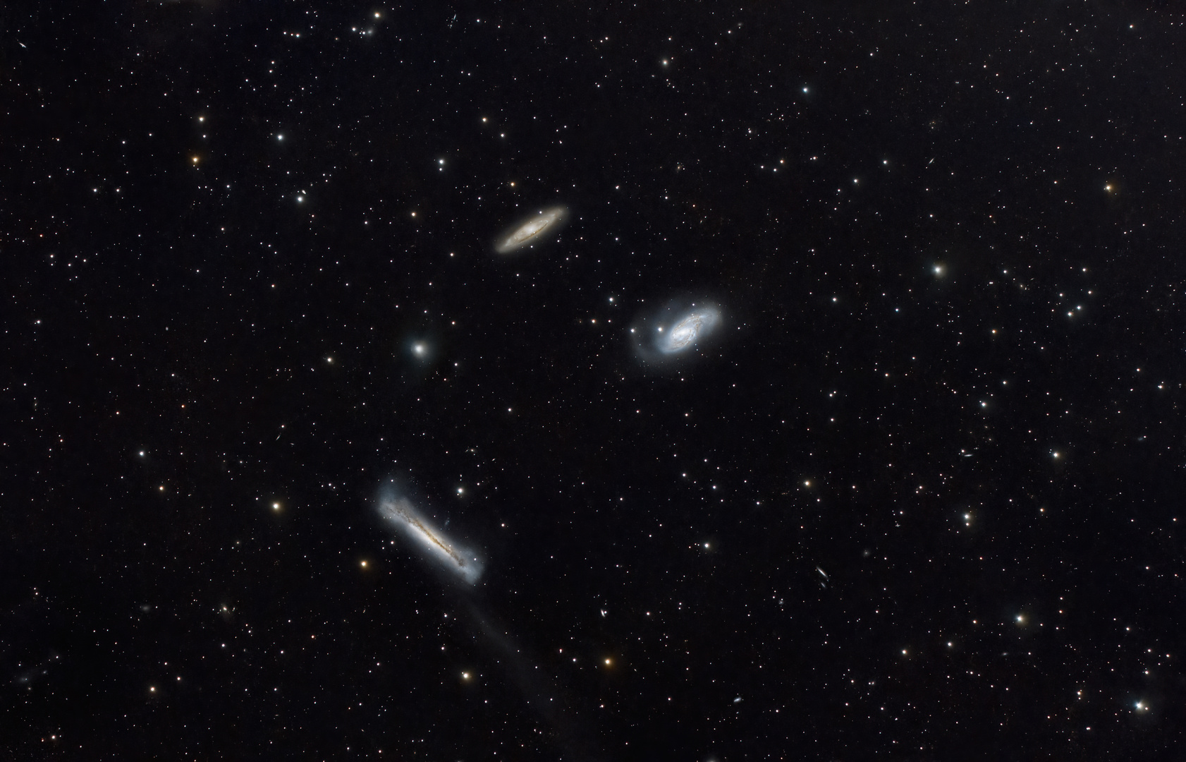 Leo Triplett