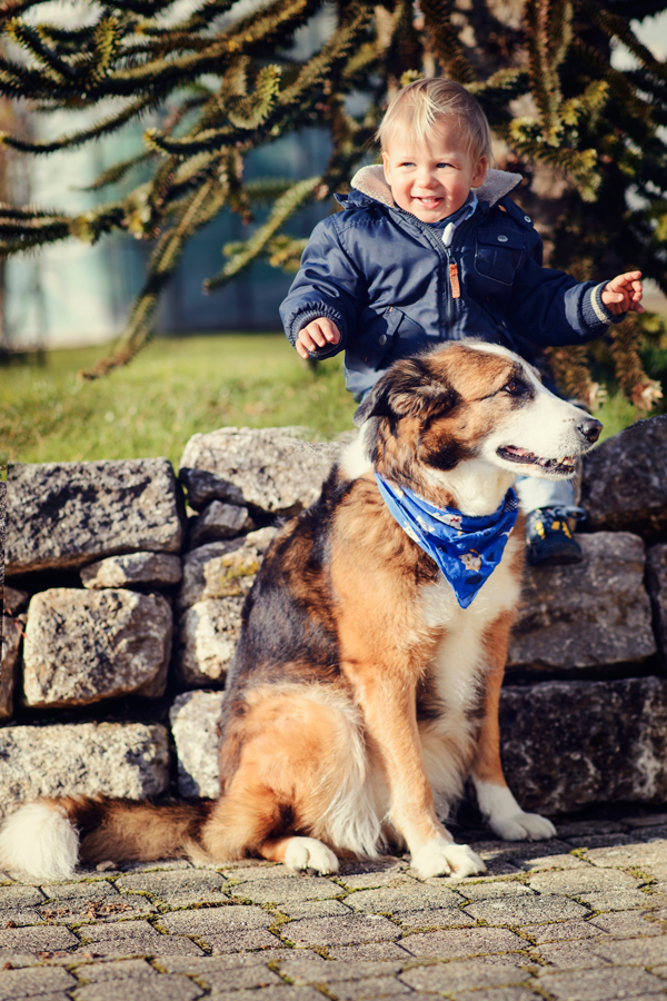 Leo und sein Wachhund