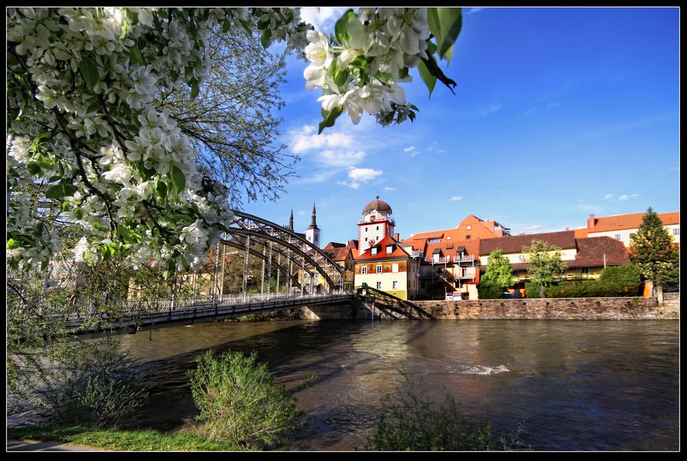 Leoben blüht auf