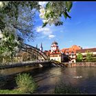 Leoben blüht auf