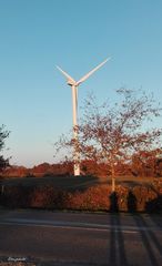 L'éolienne et les ombres