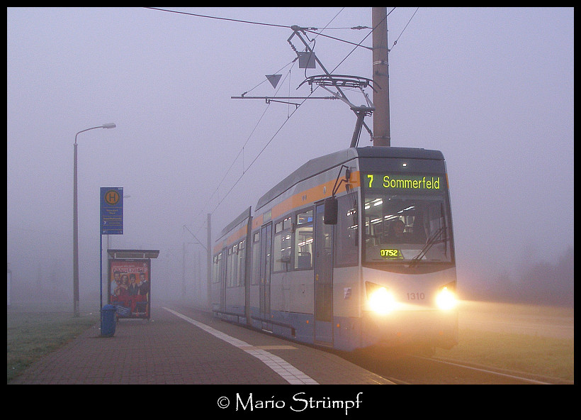 Leoliner 1310 im Nebel