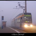 Leoliner 1310 im Nebel