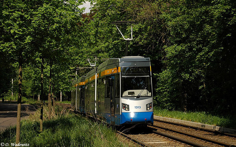 Leoliner im Clara-Zetkin-Park