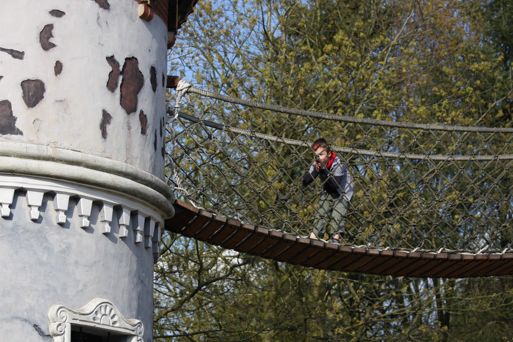 Leon auf der Hängebrücke ( Heide-Park)