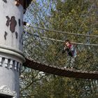 Leon auf der Hängebrücke ( Heide-Park)