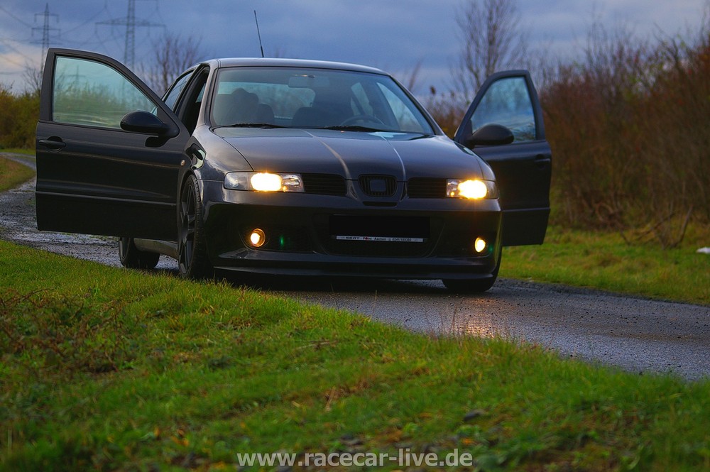 Leon Cupra Doors