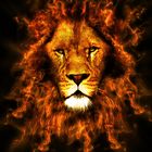 leon de fuego