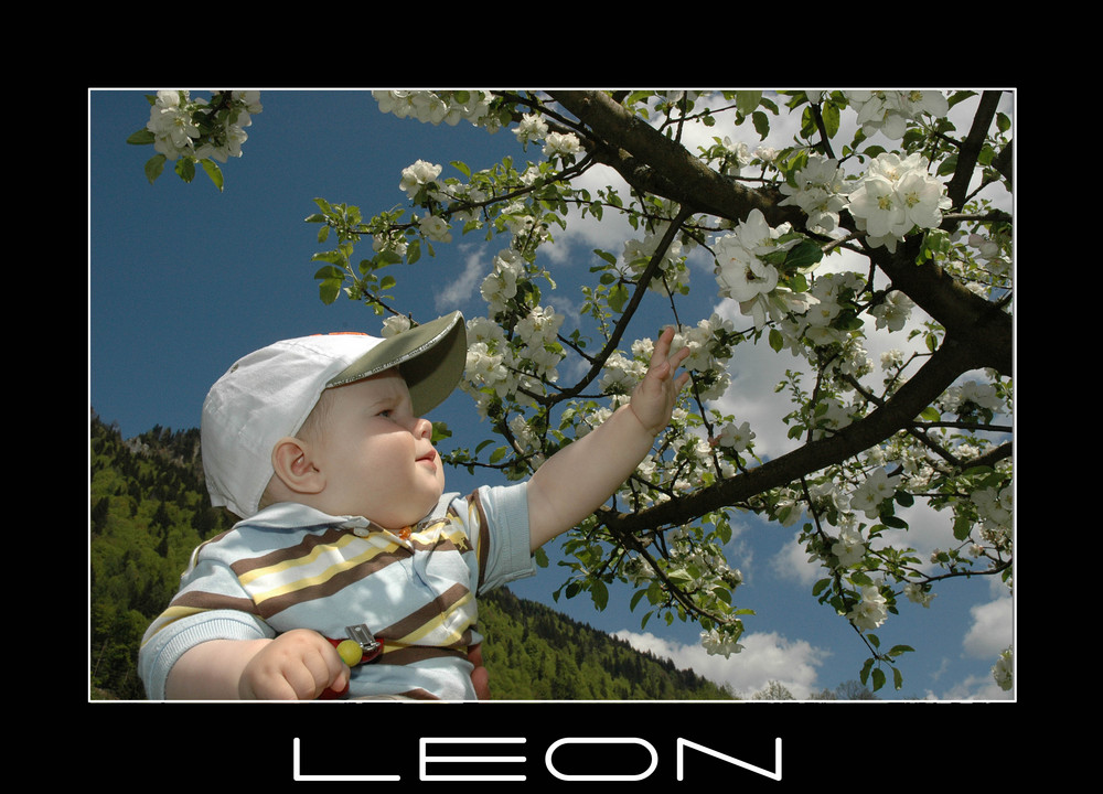 Leon und der Frühling