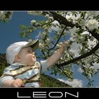 Leon und der Frühling