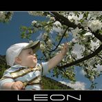 Leon und der Frühling