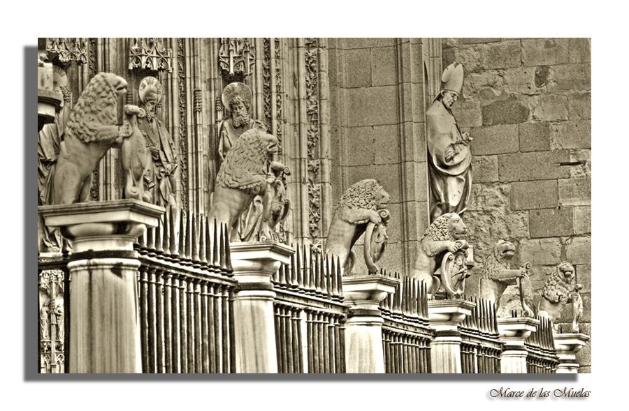 ...leones en Toledo 3...