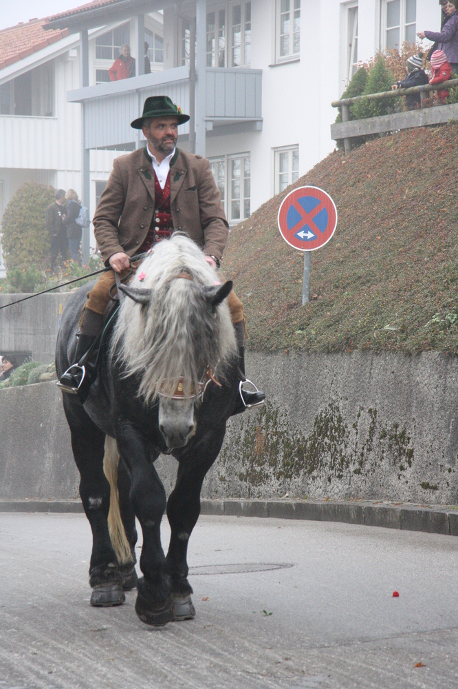 Leonhardi Bad Tölz 3