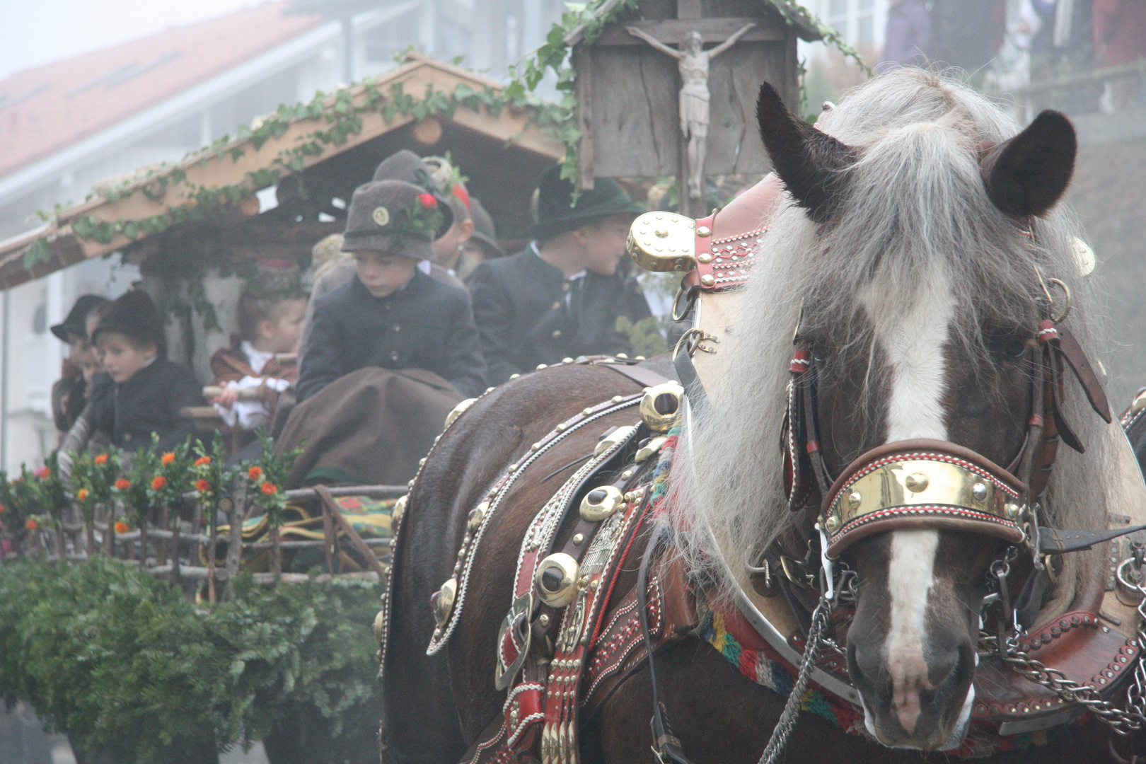 Leonhardi Bad Tölz 4