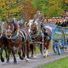 Leonhardifahrt in Bad Tölz