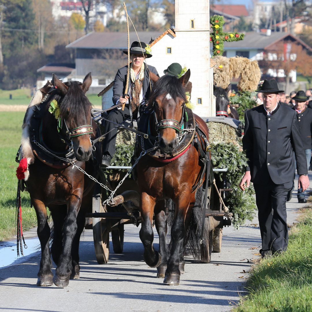 Leonhardiritt Kundl 2014