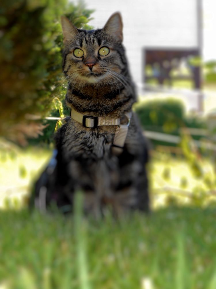 Leonie beim Gartenausflug