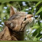 Leonie im Garten