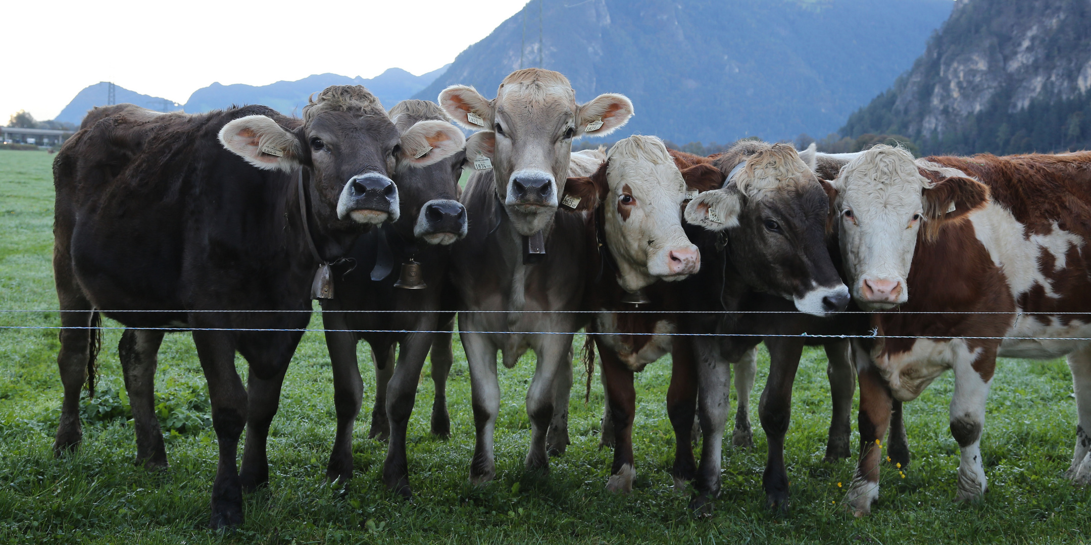 Leonie, Rebekka, Judith, Sarah, Sibylle u. Hannah