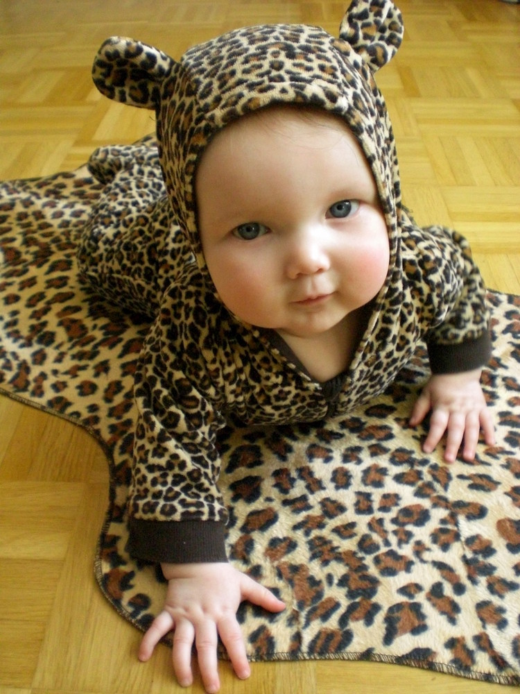 Leopard