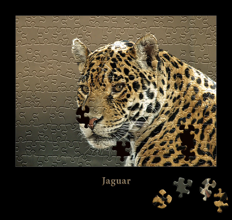 Leopard - 4 Teile fehlen noch...