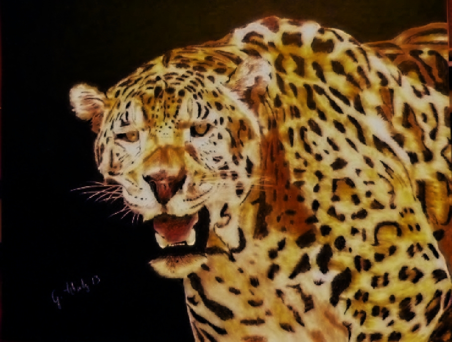 Leopard