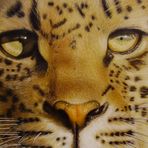 Leopard Airbrush