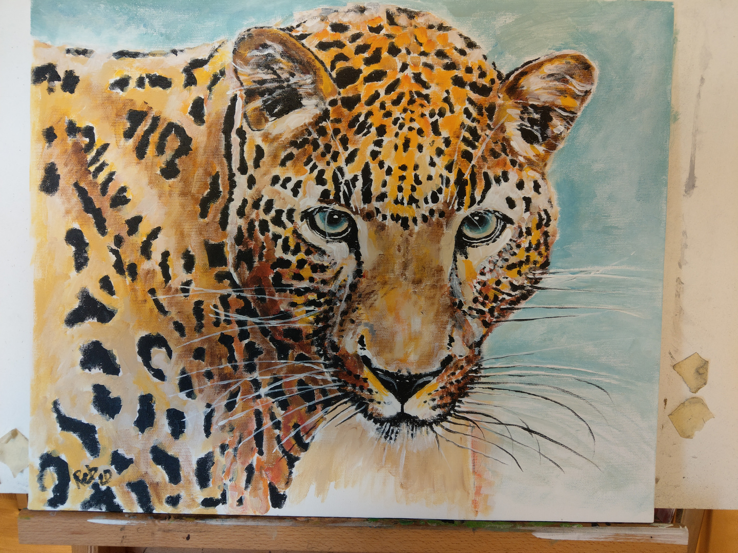 Leopard Foto Bild Motive Acryl Gemalde Und Zeichnungen Bilder Auf Fotocommunity