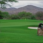 Leopard Creek Golf Course