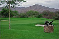 Leopard Creek Golf Course