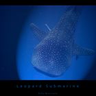 Leopard Submarine