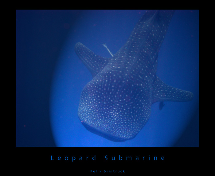 Leopard Submarine