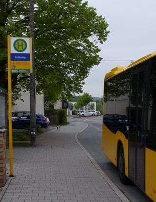 Leoparden sind auch nur große Katzen