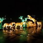 Leoparden spiegeln sich im Regenglanz