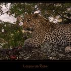 ~ Leopards Rest ~ [2]