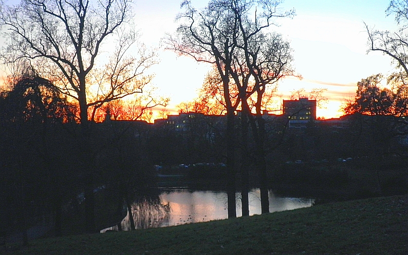 Leopoldinenteich Schlosspark Eisenstadt