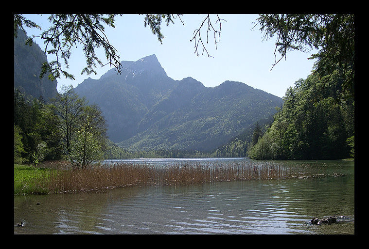 ... leopoldsteinersee ...