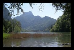 ... leopoldsteinersee ...