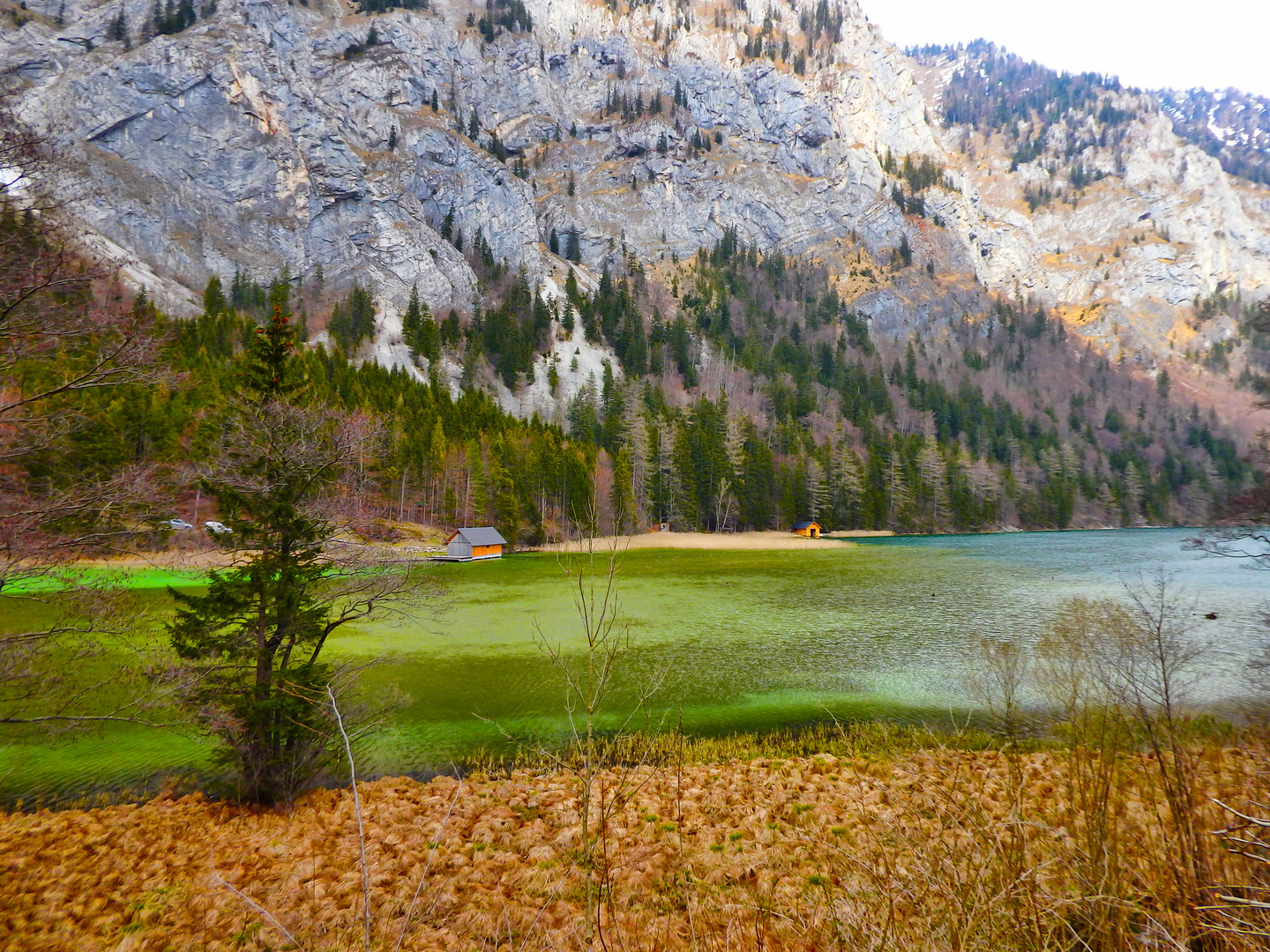 leopoldsteinersee 