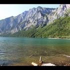 Leopoldsteinersee, August 2013