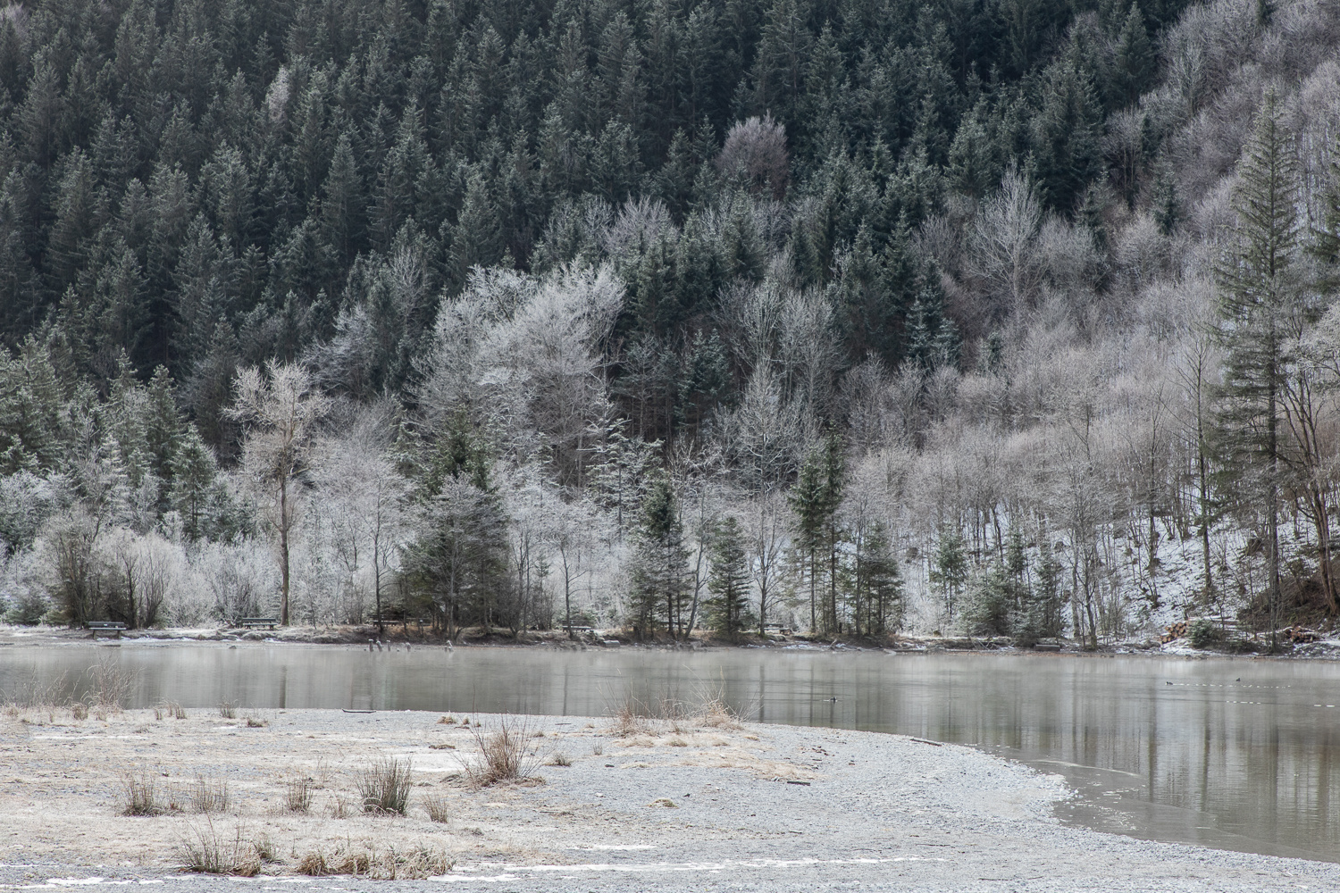 Leopoldsteinersee