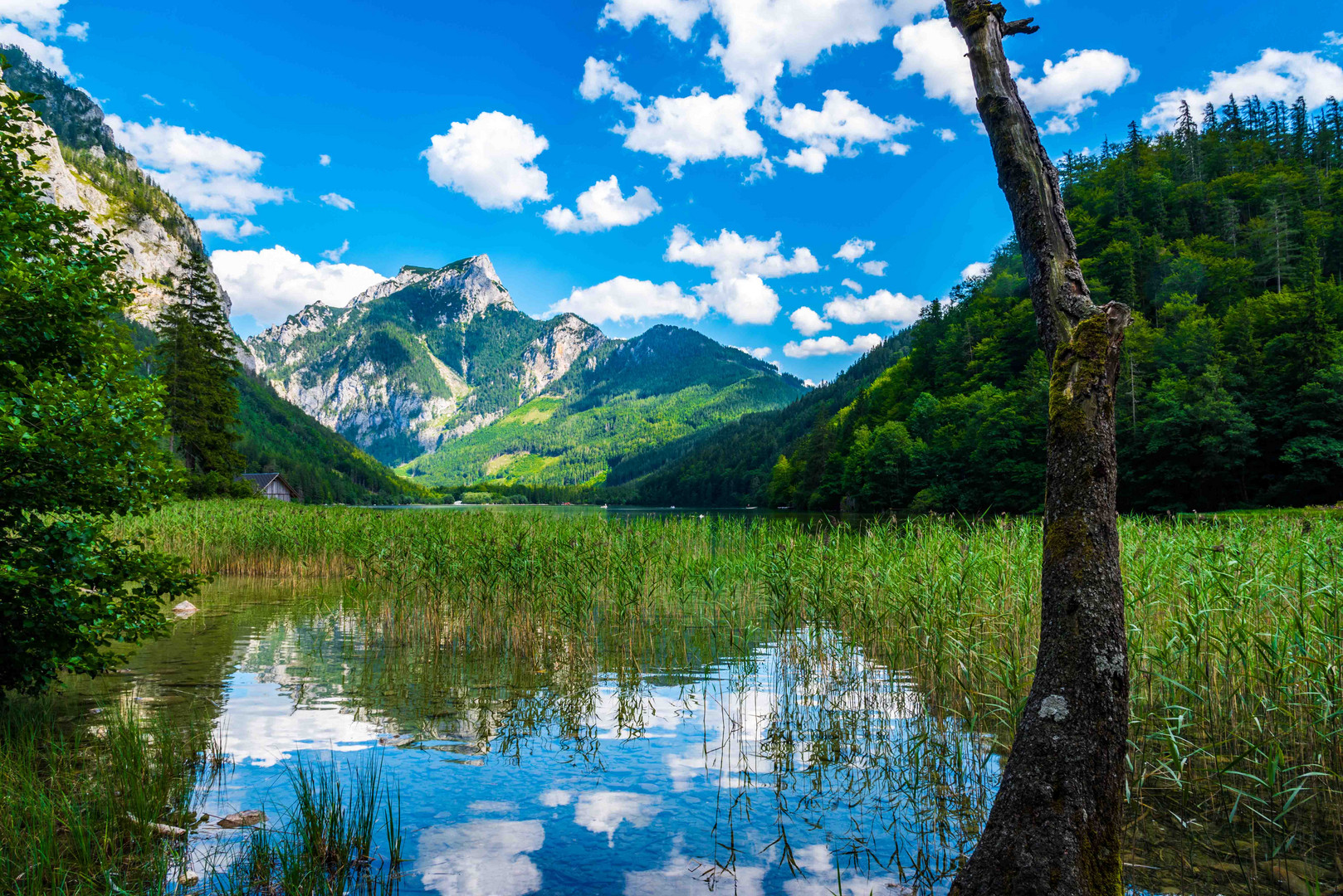 Leopoldsteinersee